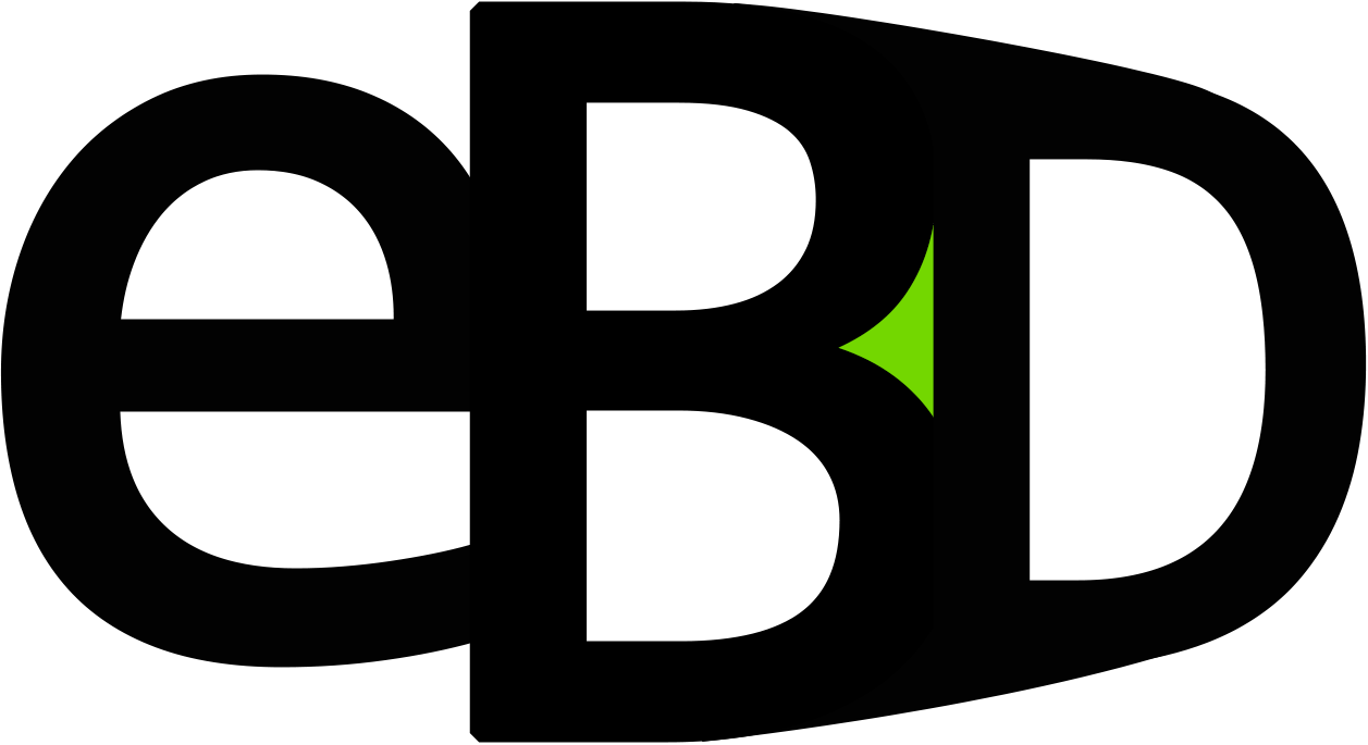 Eric Bergman Development